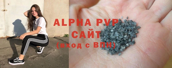 спайс Корсаков