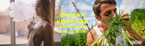 индика Козловка