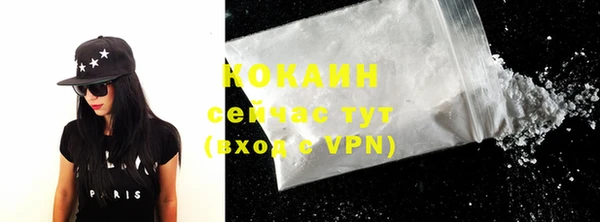 спайс Корсаков