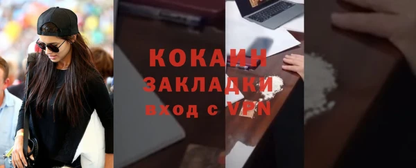 индика Козловка