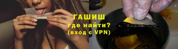 индика Козловка