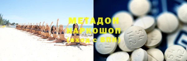 индика Козловка