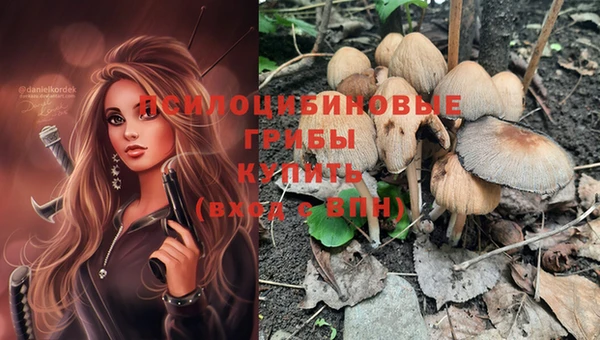 гидропоника Кодинск