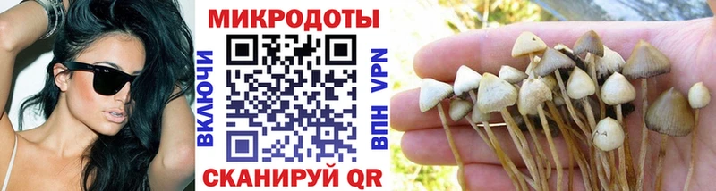 купить наркоту  Котово  Псилоцибиновые грибы мухоморы 