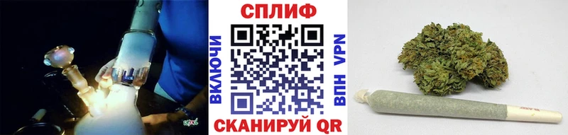 Бошки марихуана конопля  Котово 
